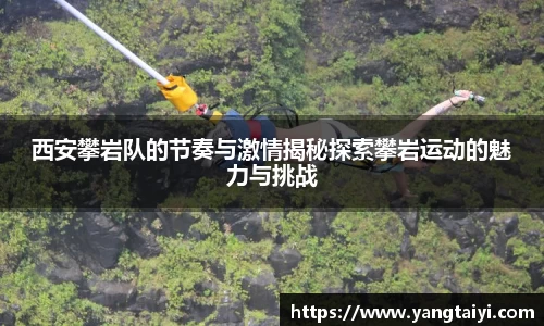 OB电竞首页